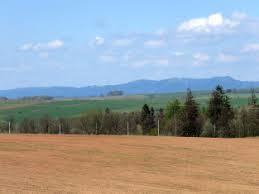 Wzgórza Ścinawskie